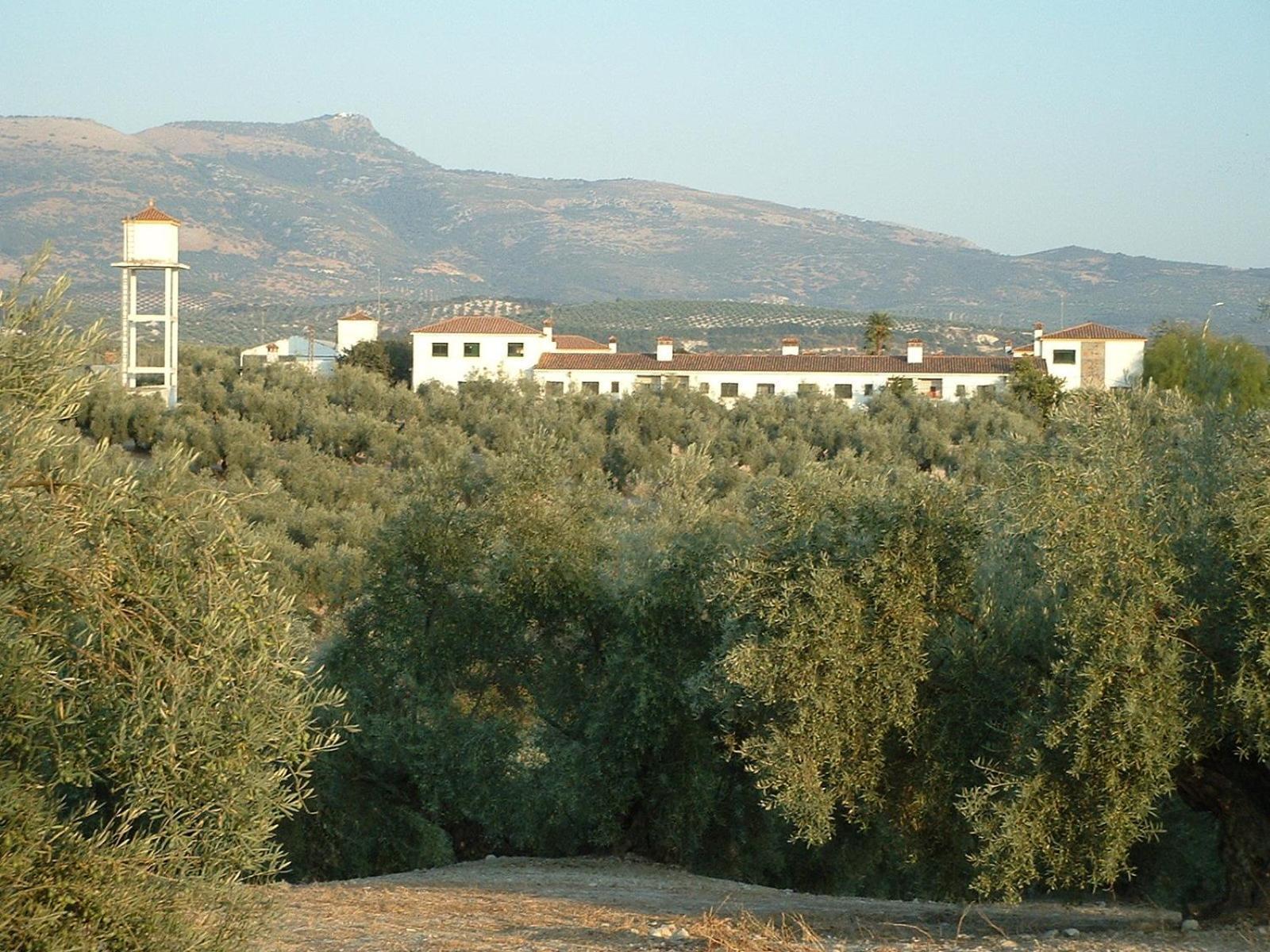 Ferienwohnung Cortijo De Frias Cabra Exterior foto