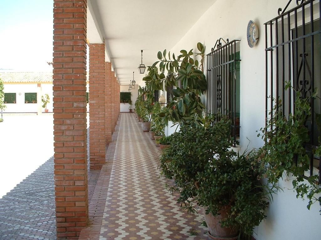 Ferienwohnung Cortijo De Frias Cabra Zimmer foto